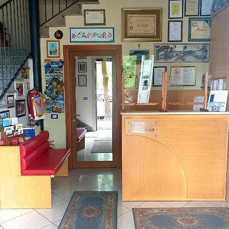 Acampora فيتشنزا