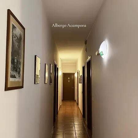 Acampora 2*
